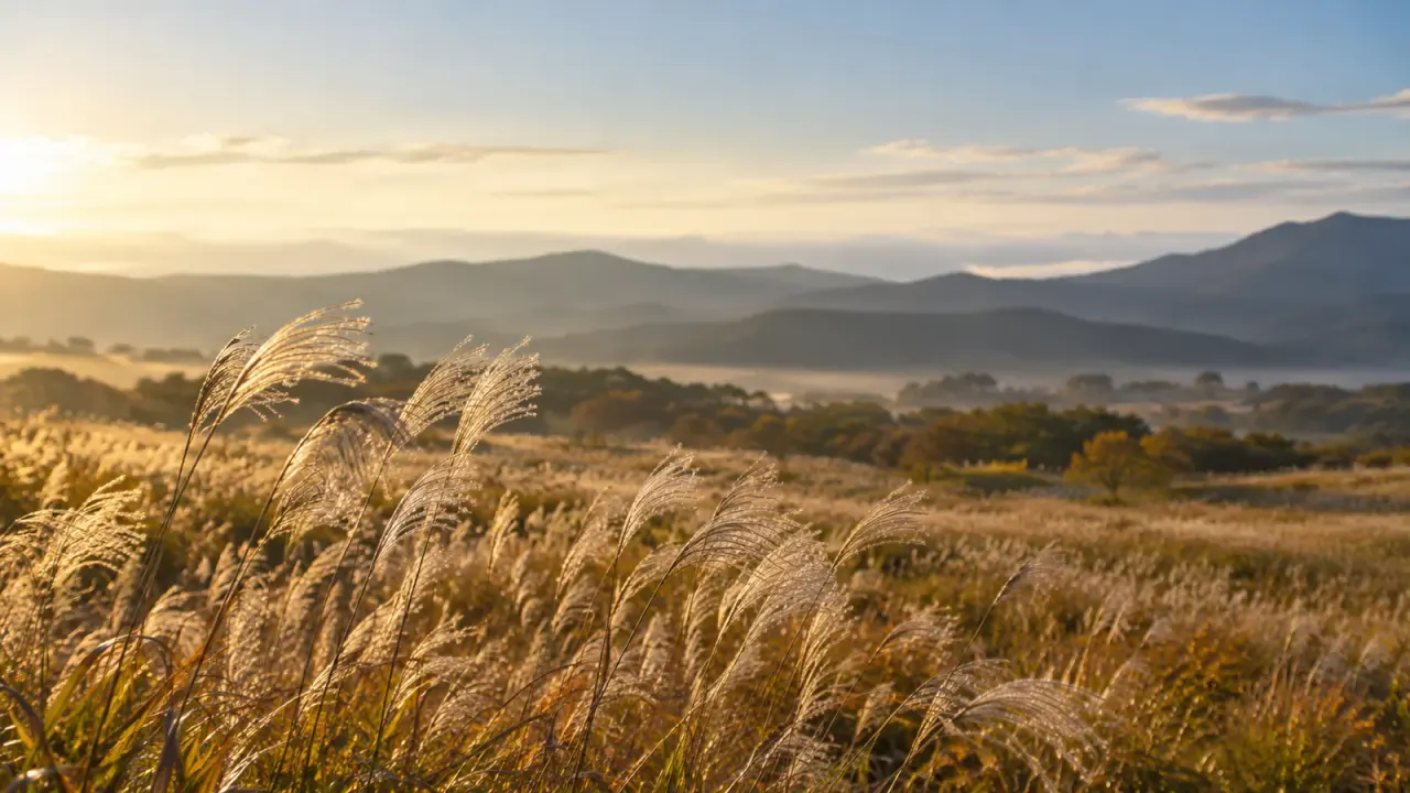 朝の光の中で、ススキの穂が揺れる草原と、遠くになだらかな山並みが続く(イメージ)