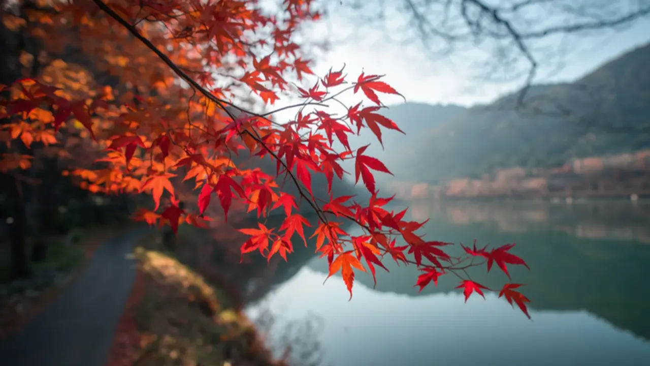 紅葉した枝ごしに見える、静かな湖と湖畔の小道。実際の景色とは異なります(イメージ)