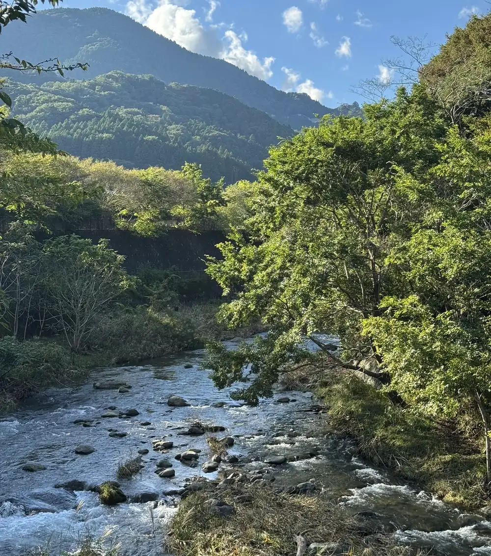 青空の下、緑の山を背に石の間を流れる川(写真)
